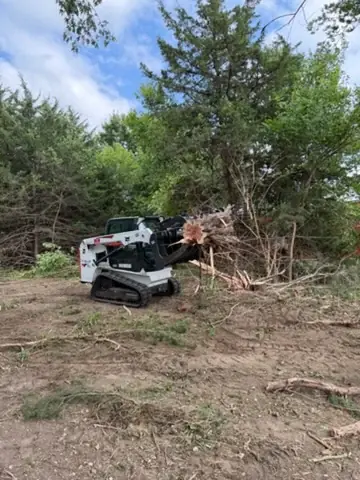 Tracked skid steer lifting tree roots beside cleared ground