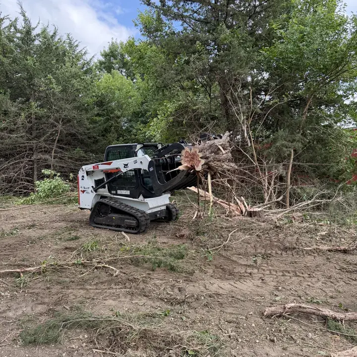 Skid steer on cleared ground beside a brush pile